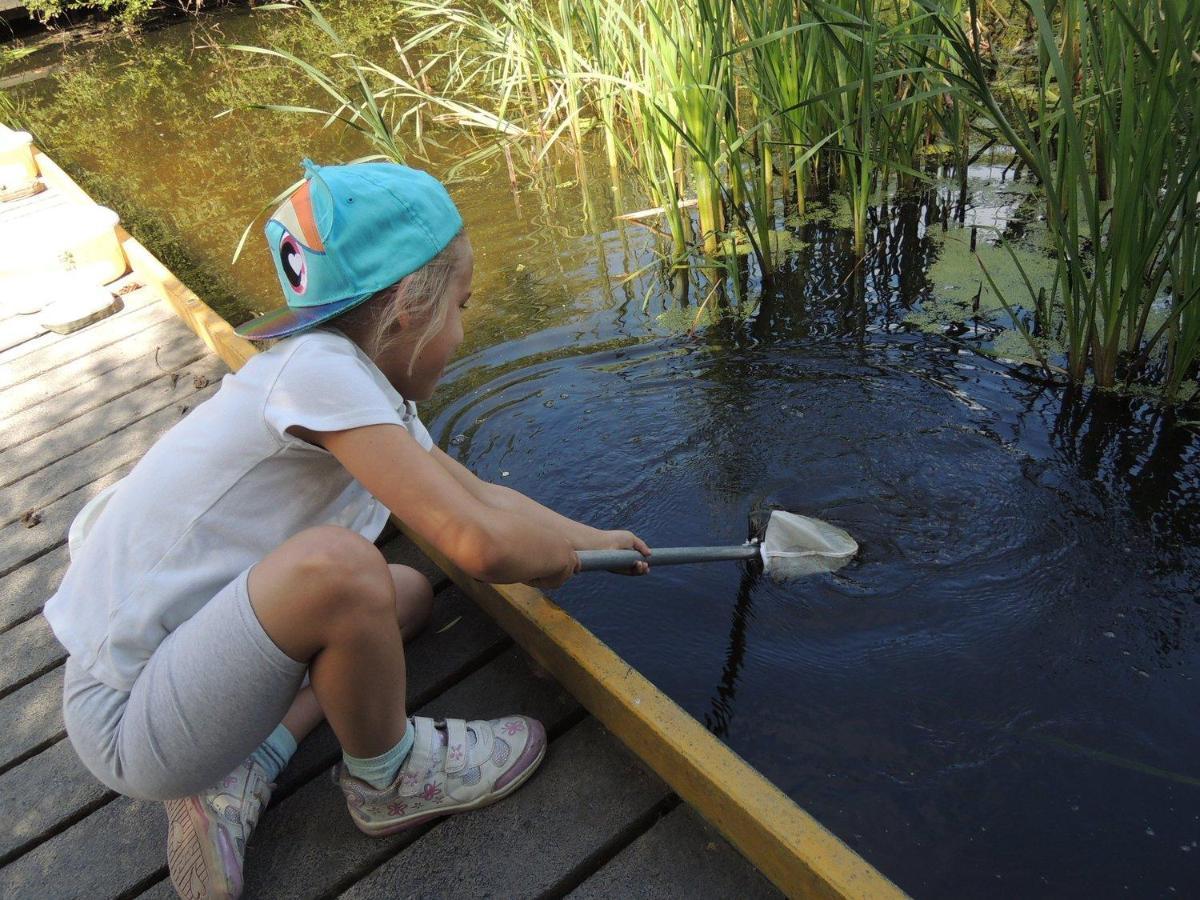 Fairburn Ings - Enjoy A 'Daydream Stay' Екстериор снимка